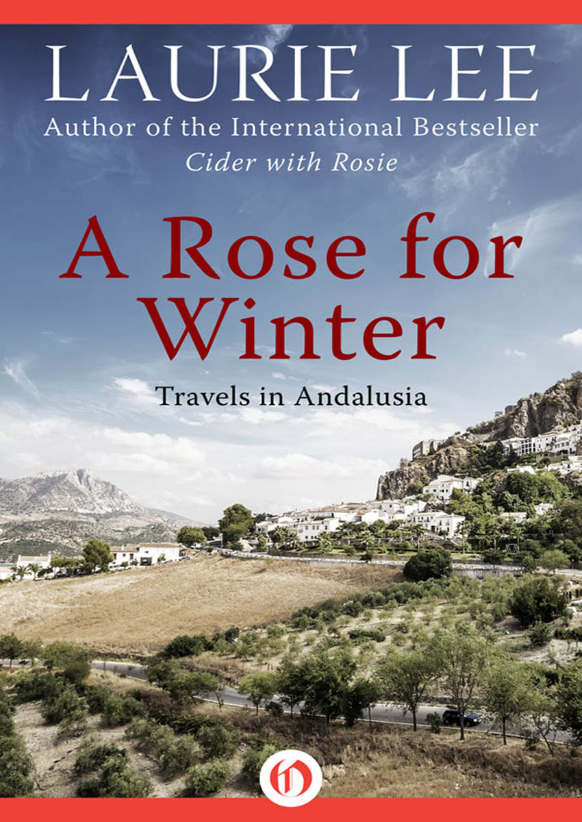 Rose for Winter by Laurie Lee