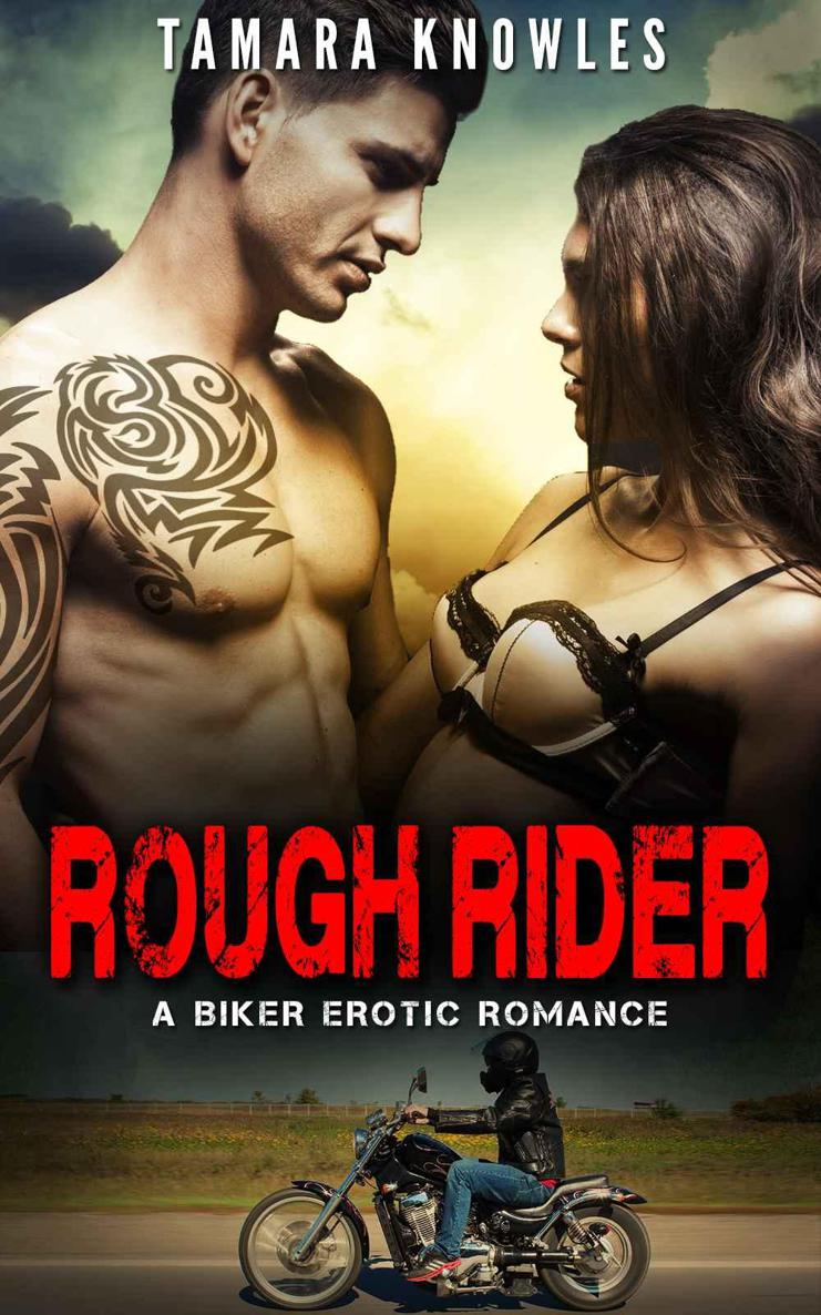 Rough Rider: A Biker Erotic Romance