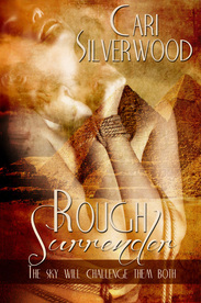 Rough Surrender (2012) by Cari Silverwood