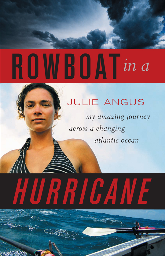 Rowboat in a Hurricane (2010)