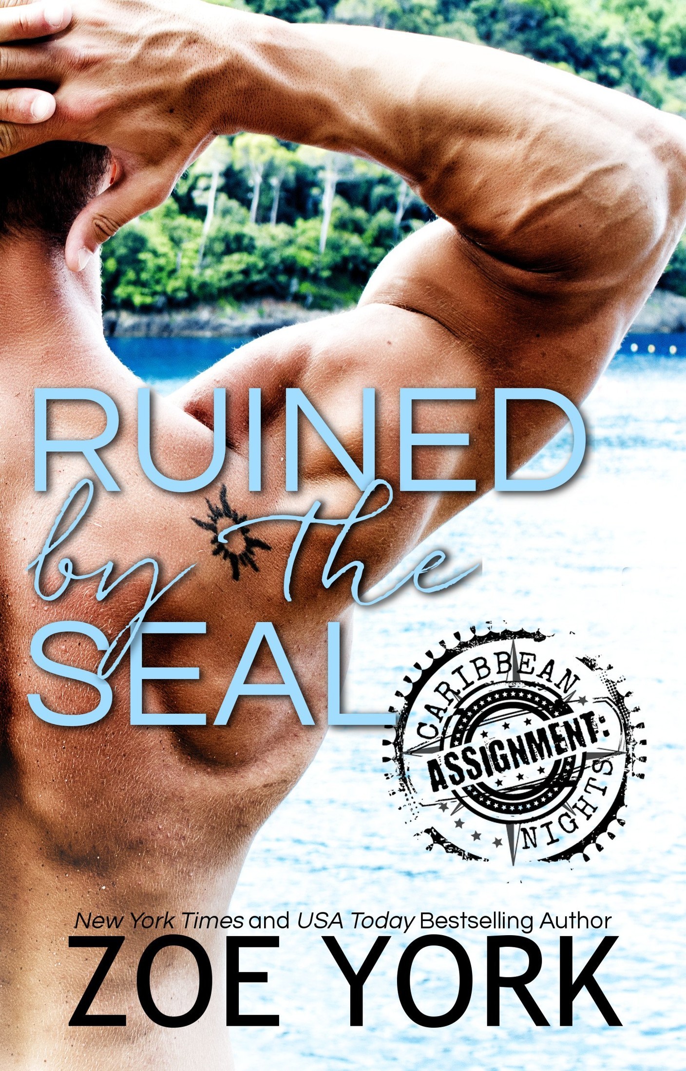 Ruined by the SEAL (ASSIGNMENT: Caribbean Nights Book 2) by Zoe York