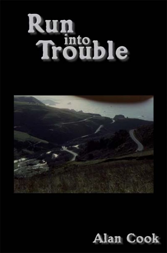 Run into Trouble by Alan Cook