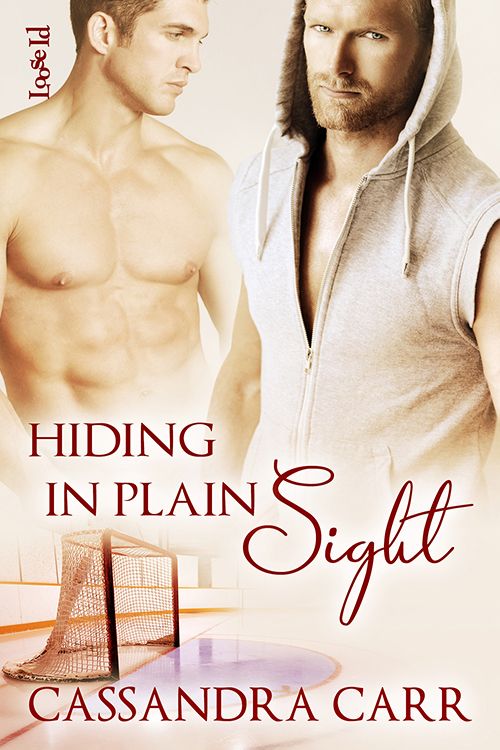 Safe Harbor 2: Hiding in Plain Sight (2014)