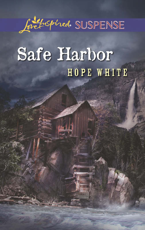 Safe Harbor (2013) by Hope White