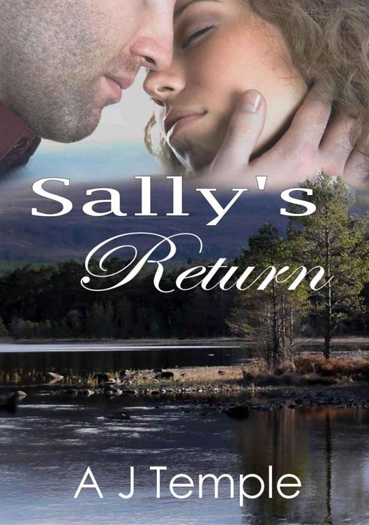 Sally’s Return: 2nd Book in this Romance Short Story Series by Temple, A. J.