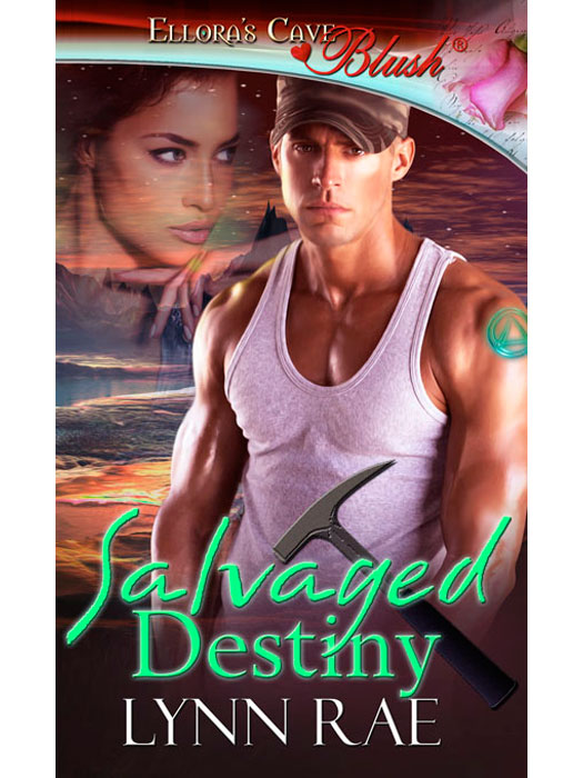 Salvaged Destiny (2014) by Lynn Rae