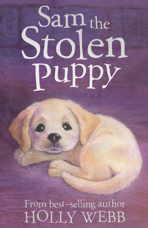 Sam the Stolen Puppy (2012) by Holly Webb