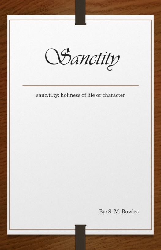 Sanctity by S. M. Bowles