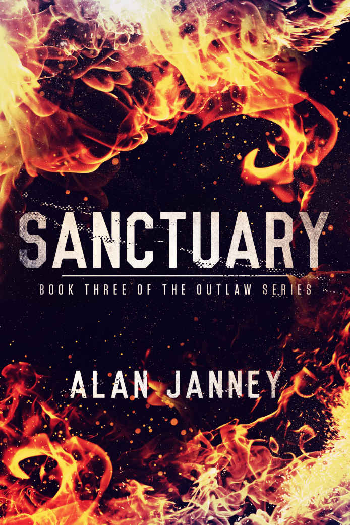 Sanctuary by Alan Janney