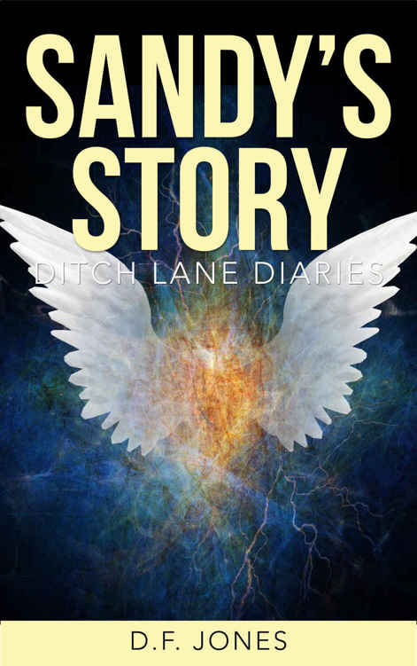 Sandy's Story (Ditch Lane Diaries Book 3)