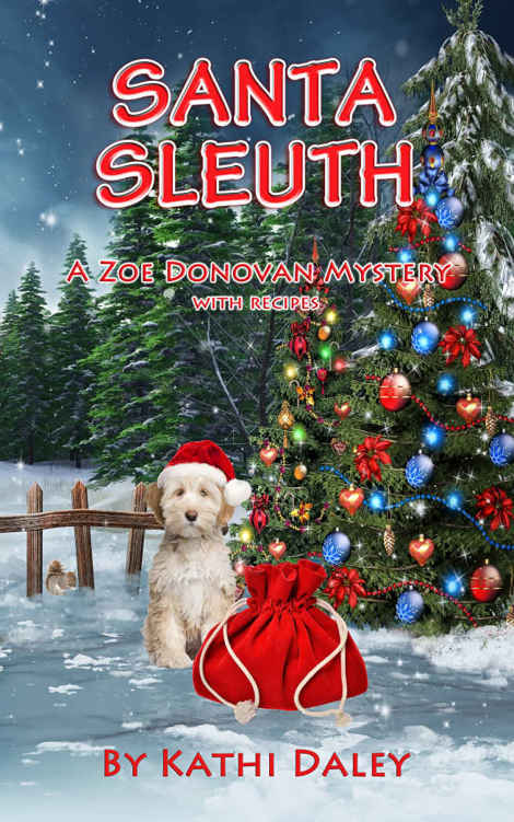 Santa Sleuth by Kathi Daley