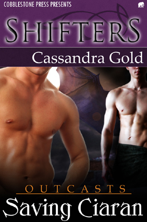 Saving Ciaran (2009) by Cassandra Gold