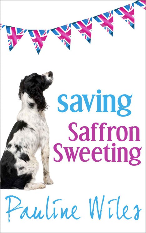 Saving Saffron Sweeting by Wiles, Pauline