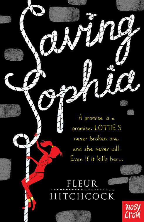 Saving Sophia (2014) by Fleur Hitchcock