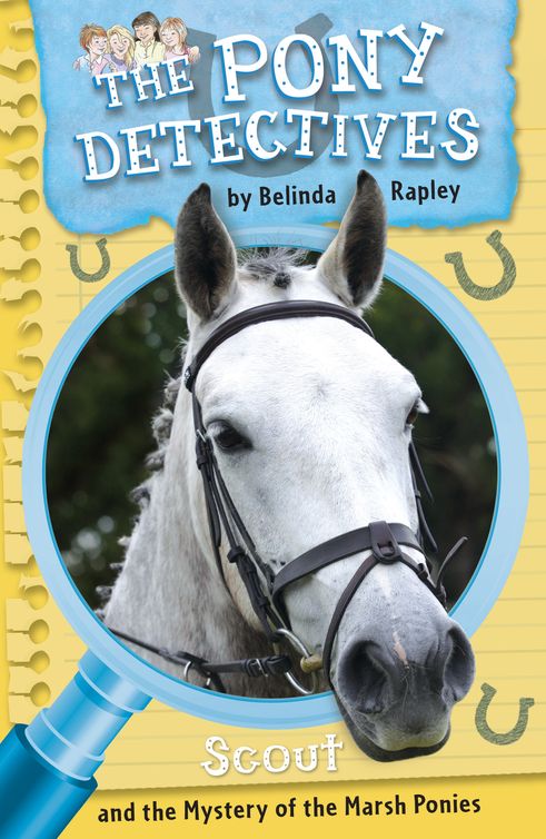 Scout and the Mystery of the Marsh Ponies (2012) by Belinda Rapley