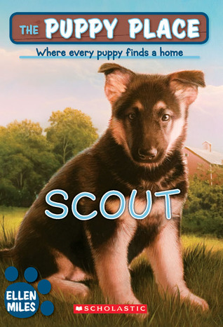 Scout (2007)