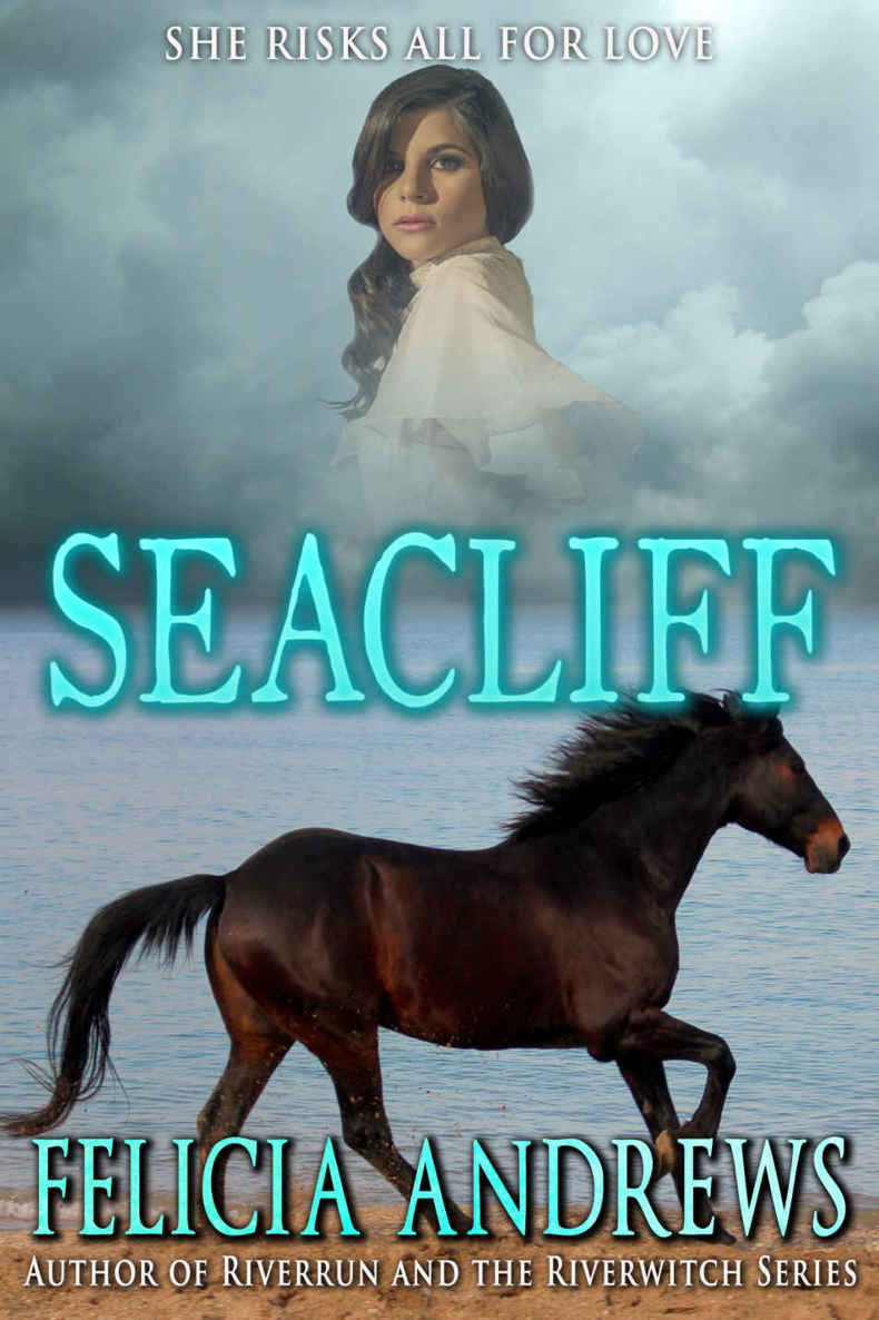 Seacliff by Andrews, Felicia