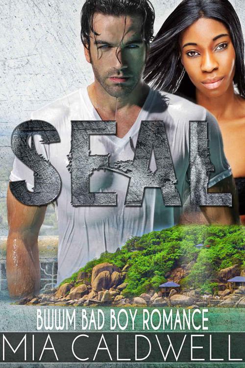 SEAL: A BWWM BAD BOY NAVY SEAL ROMANCE by Caldwell, Mia