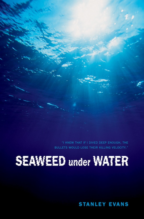 Seaweed Under Water (2011) by Stanley Evans