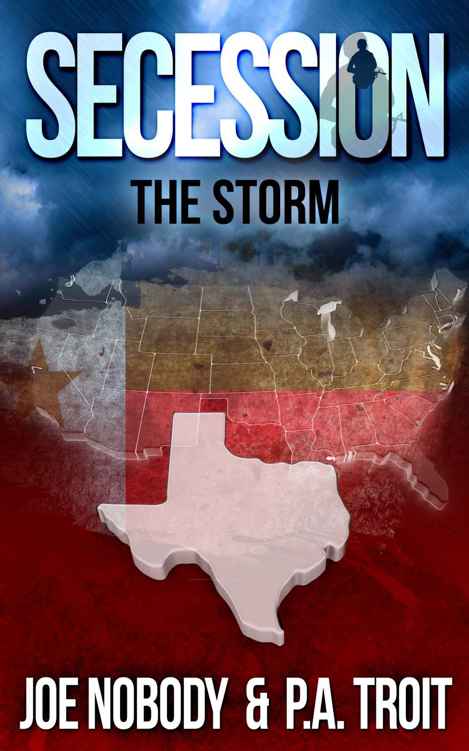 Secession: The Storm by Joe Nobody