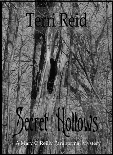 Secret Hollows by Reid, Terri