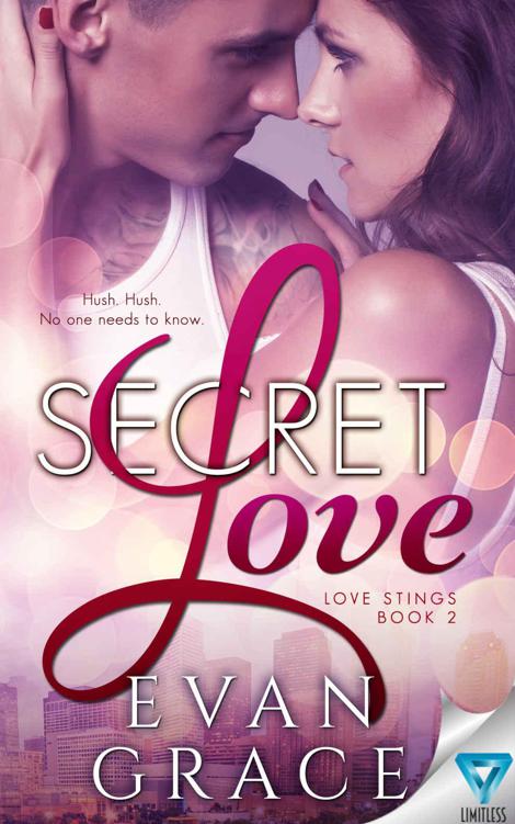 Secret Love (Love Stings Series Book 2)