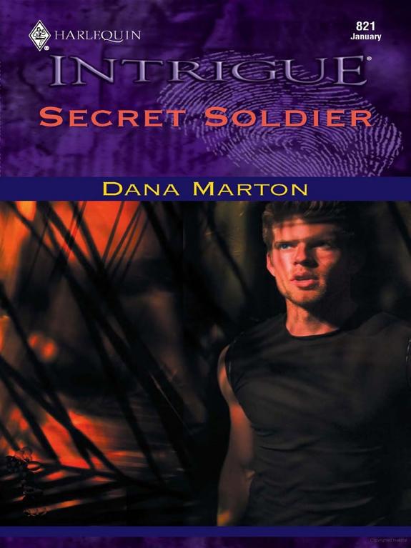 Secret Soldier