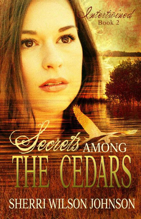 Secrets Among the Cedars (Intertwined Book 2) by Johnson, Sherri Wilson