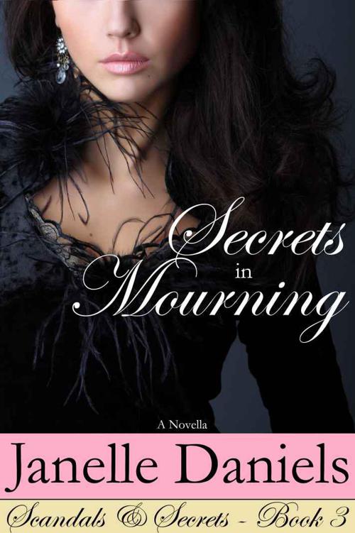 Secrets in Mourning by Janelle Daniels