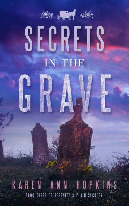 Secrets in the Grave (Serenity's Plain Secrets Book 3) by Karen Ann Hopkins