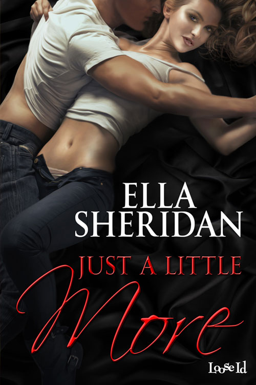 Secrets to Hide 3: Just a Little More (2014) by Ella Sheridan