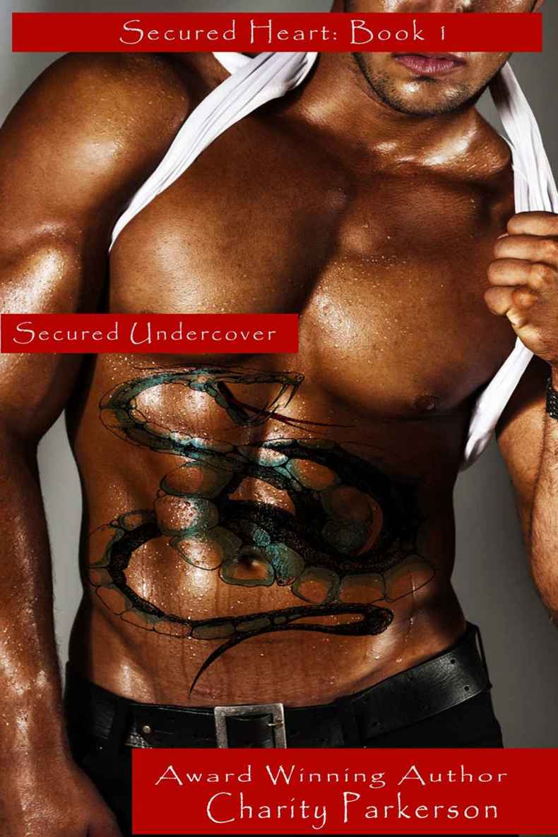 Secured Undercover by Charity Parkerson