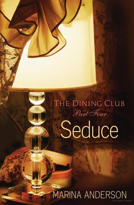 Seduce by Marina Anderson