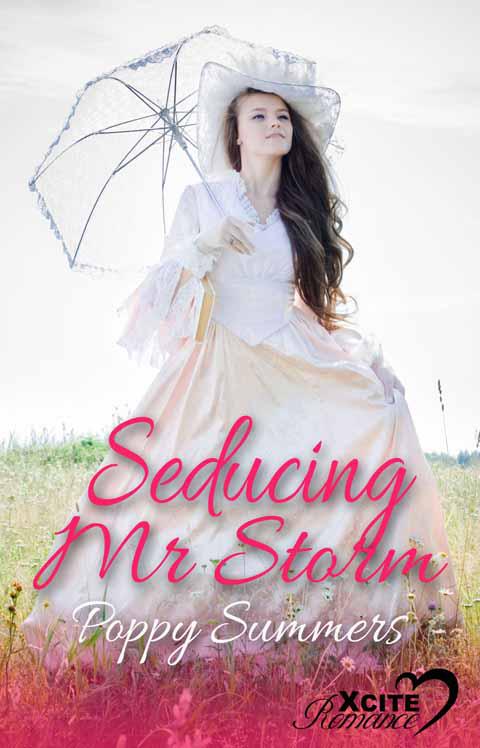 Seducing Mr Storm by Poppy Summers