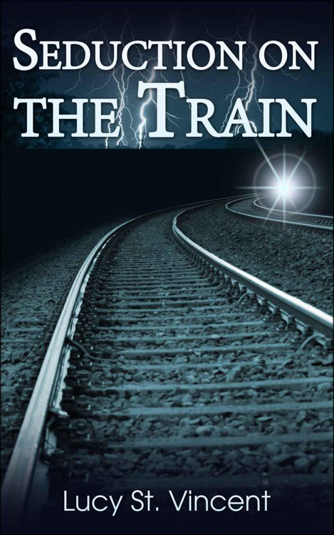 Seduction on the Train (Travel Gal Erotica)