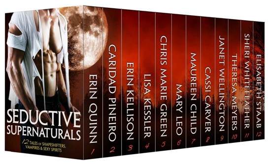 SEDUCTIVE SUPERNATURALS: 12 Tales of Shapeshifters, Vampires & Sexy Spirits by Erin Quinn