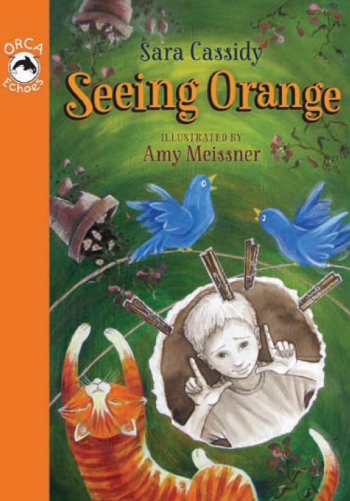 Seeing Orange (2012) by Sara Cassidy