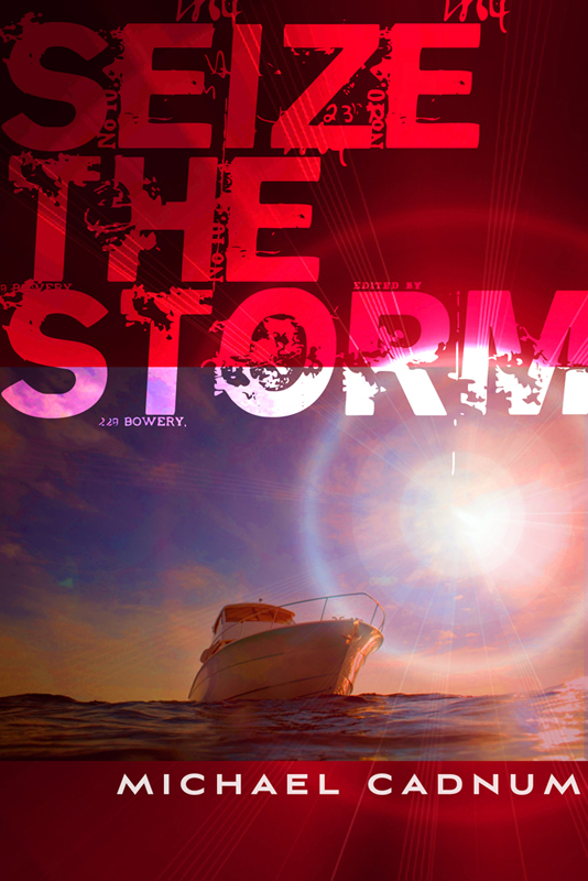 Seize the Storm by Michael Cadnum