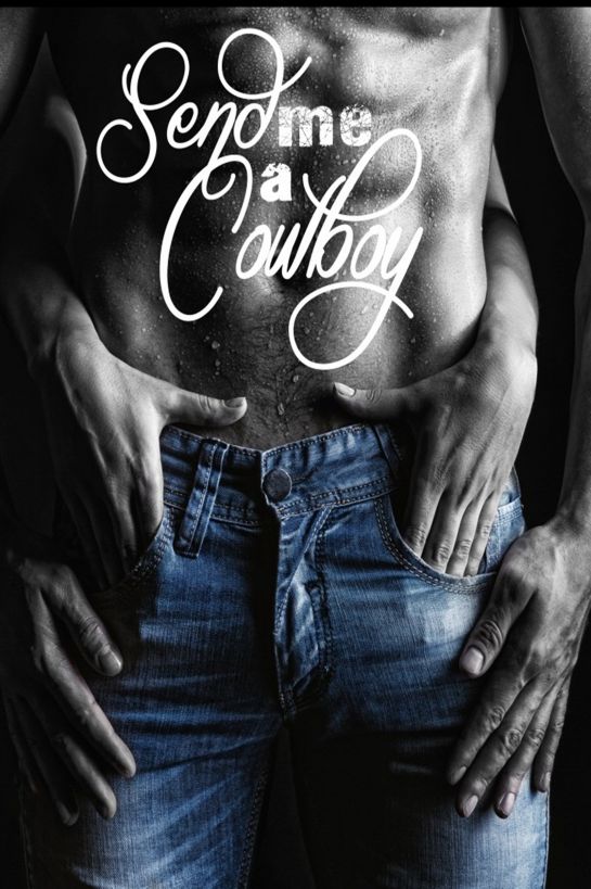 Send Me a Cowboy by Joann Baker