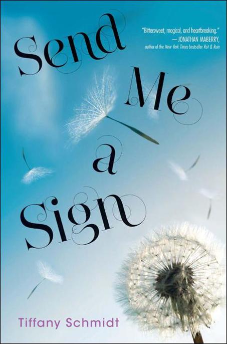 Send Me a Sign by Tiffany Schmidt