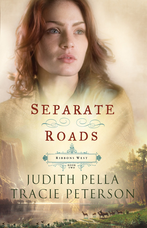 Separate Roads by Judith Pella