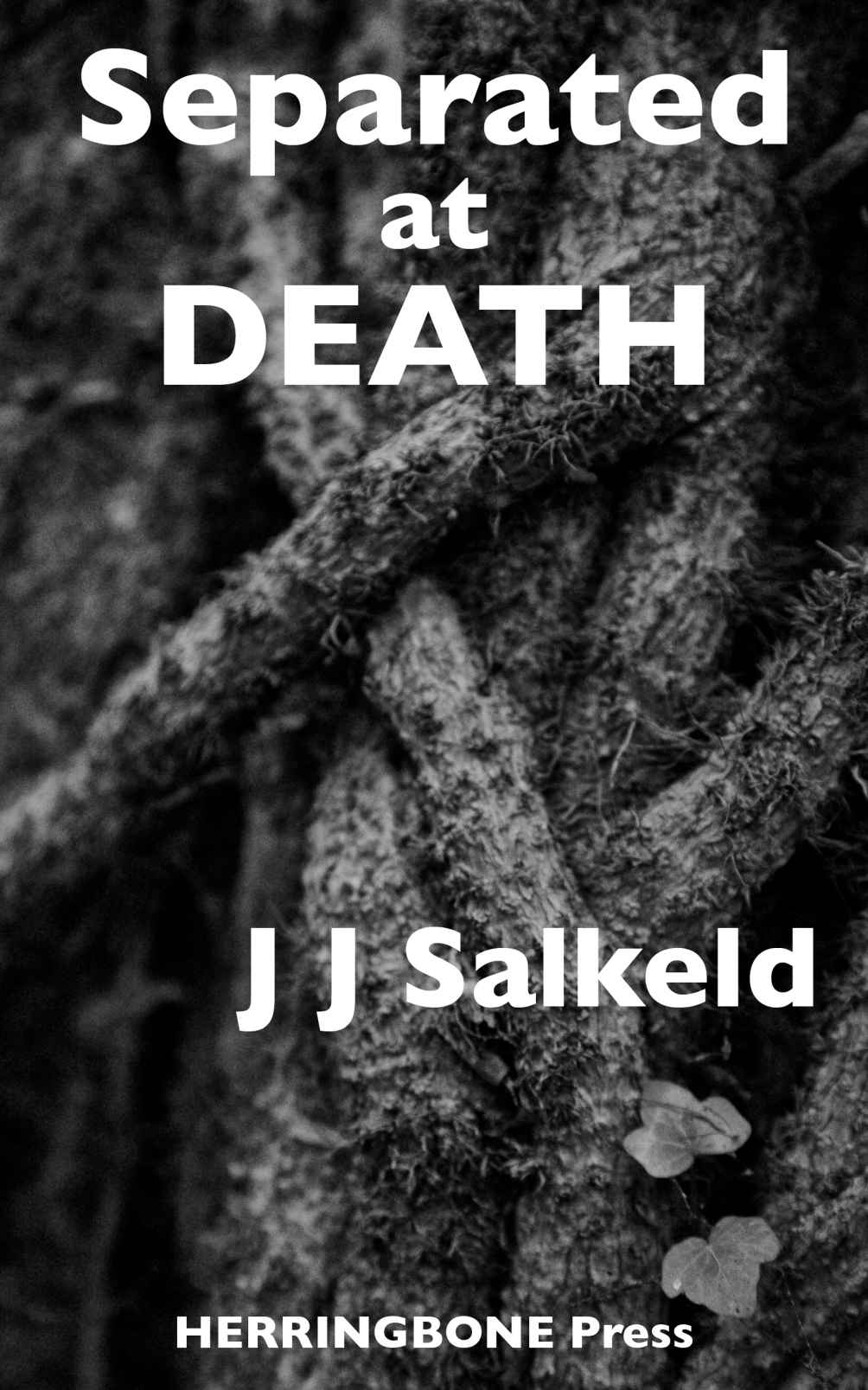 Separated at Death (The Lakeland Murders) by Salkeld, J J