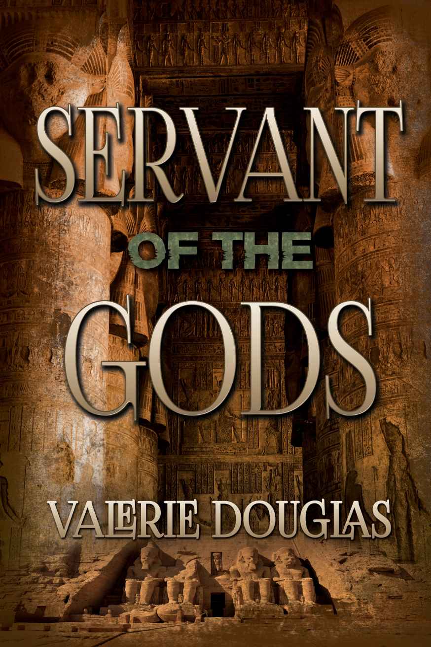 Servant of the Gods by Valerie Douglas