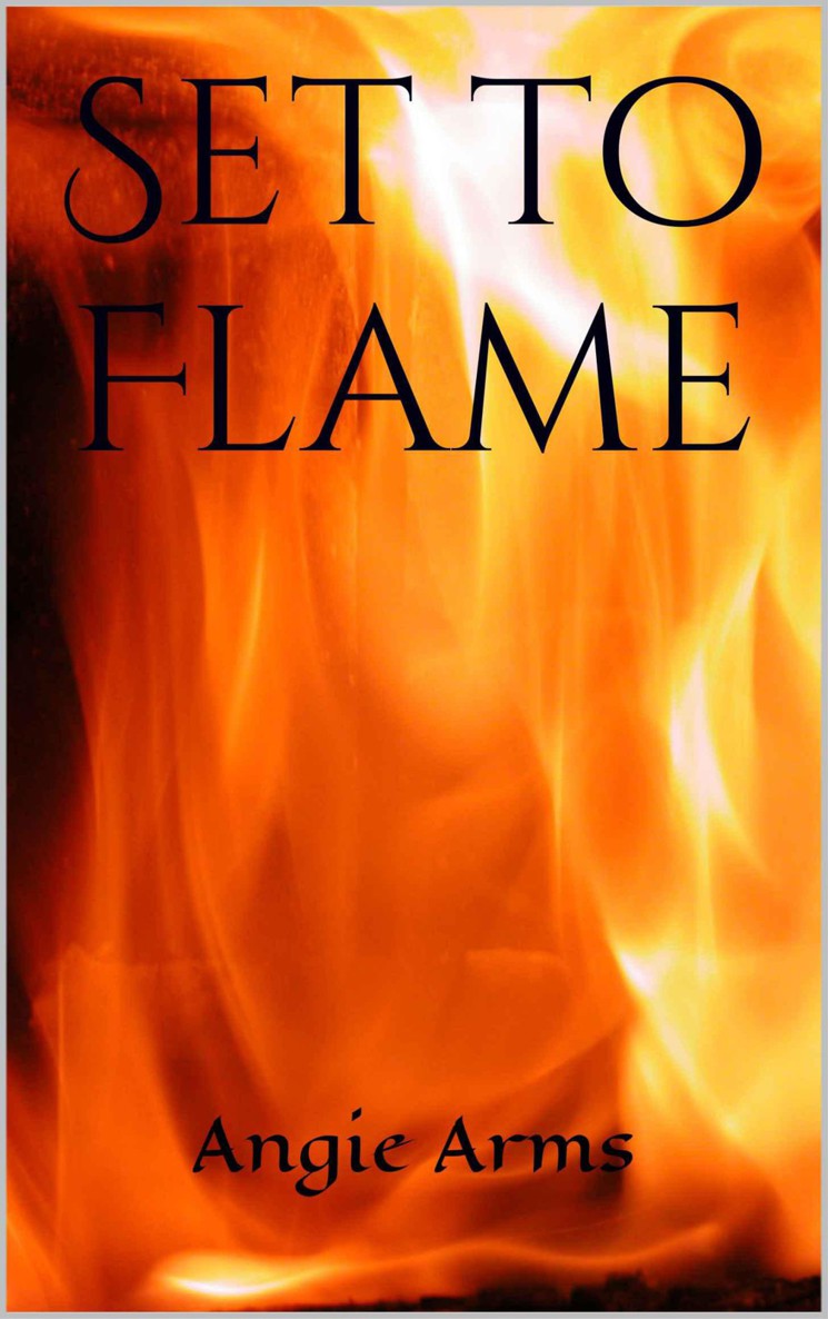 Set to Flame (Flame Series)