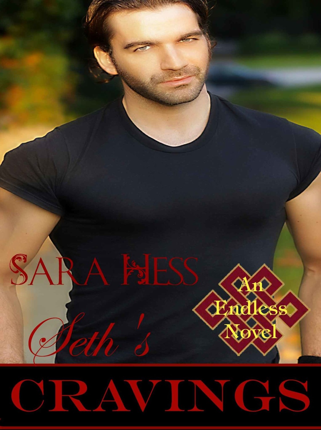 Seth's Cravings: An Endless Series: Book 2 by Sara Hess