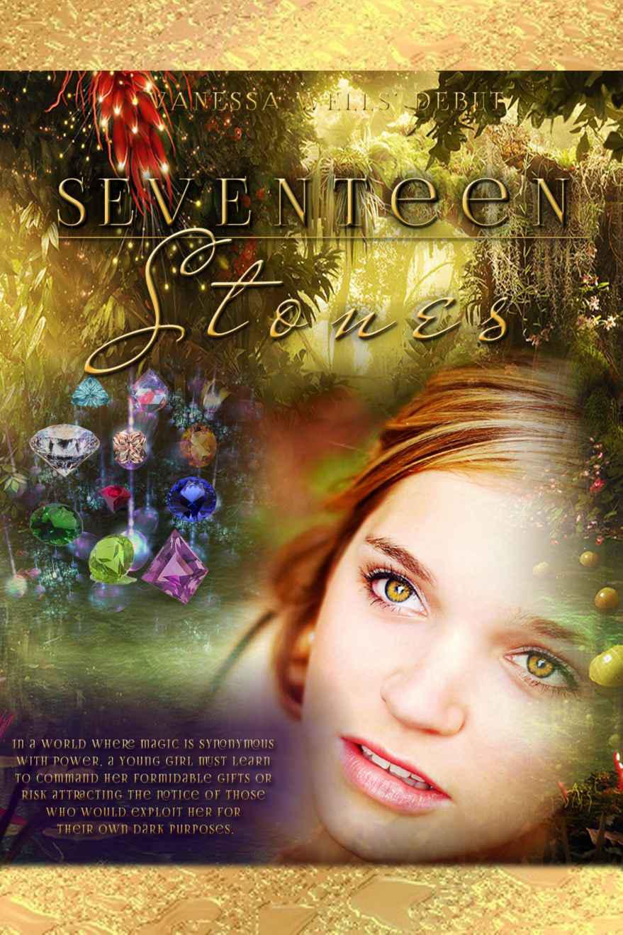 Seventeen Stones by Wells, Vanessa