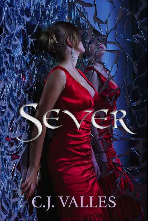 Sever (The Ever Series Book 3)