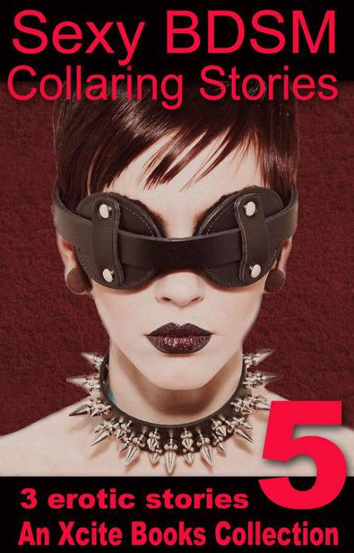 Sexy BDSM Collaring Stories - Volume Five - An Xcite Books Collection by Langland, Beverly