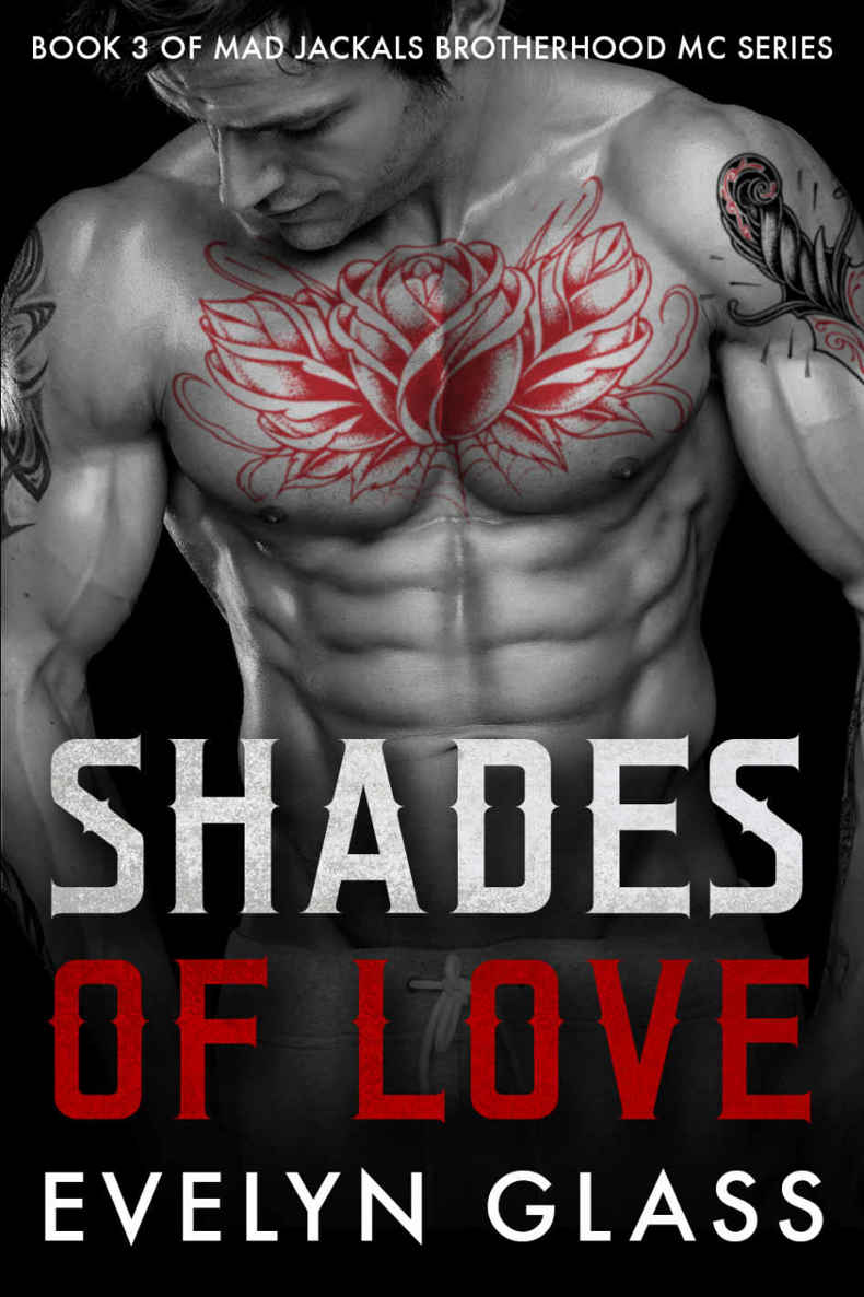 Shades of Love (Mad Jackals Brotherhood MC Book 3) by Evelyn Glass