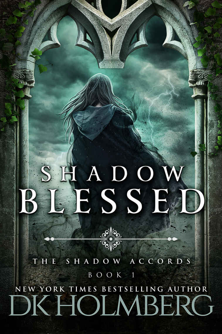Shadow Blessed (The Shadow Accords Book 1) by D.K. Holmberg